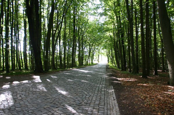 Allee bei Vilnitz