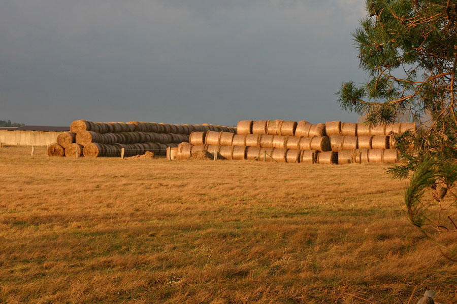 Mönchgut Heuballen