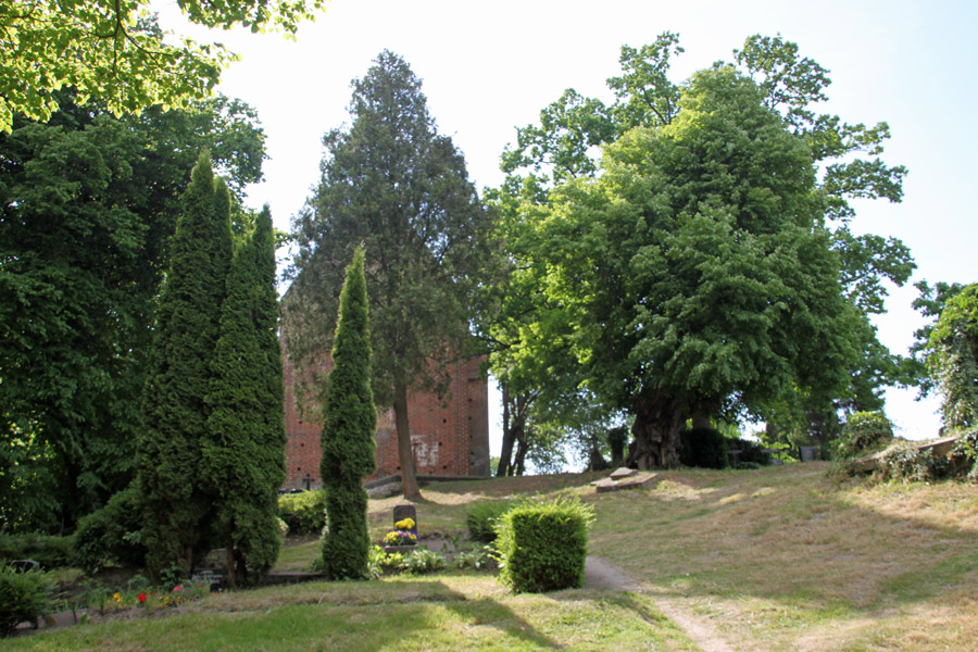Dorfkirche Gustow im Jahr 2005